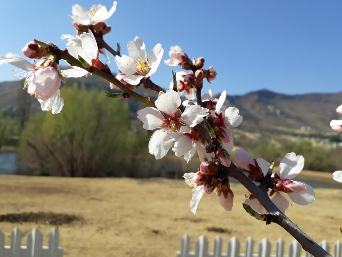 Lake Clarens Guest House Екстер'єр фото